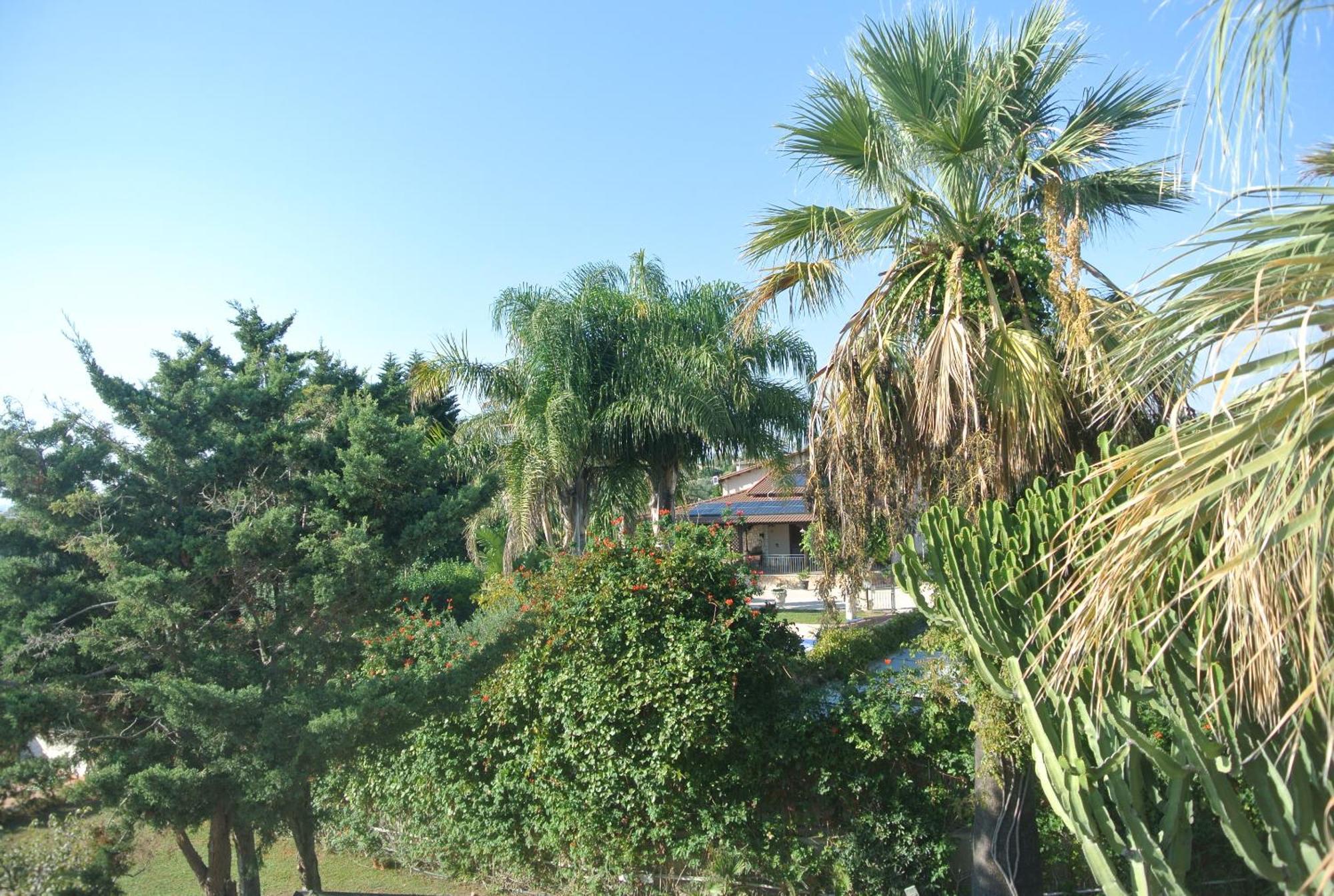Villa Carlotta Resort San Leone Dış mekan fotoğraf